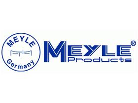 MEYLE 0146100014 - CASQUILLO COJINETE,BRAZO TRANSVERSAL